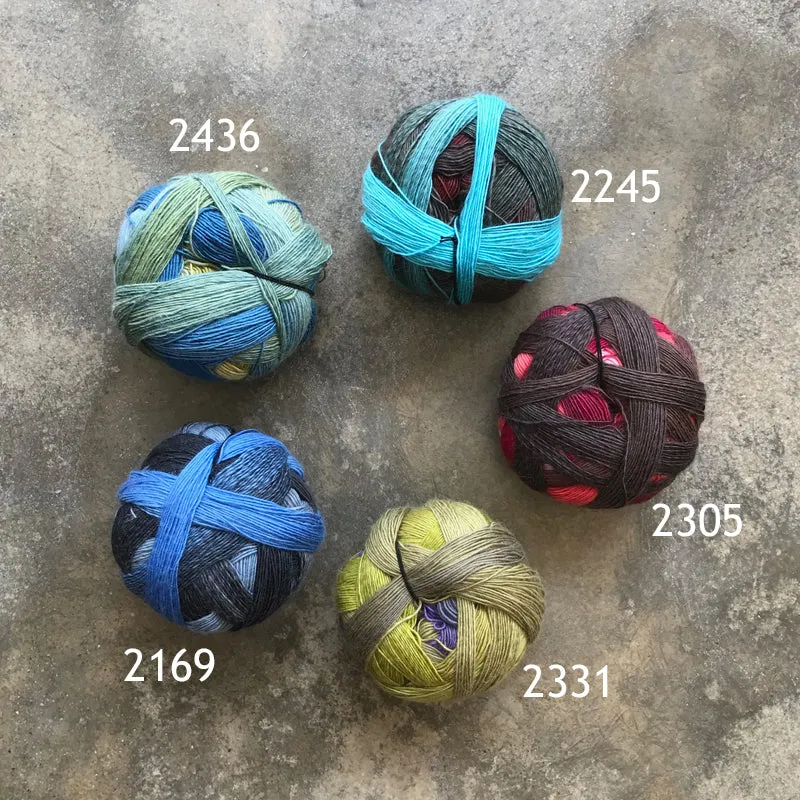 Schoppel Wolle Zauberball 100