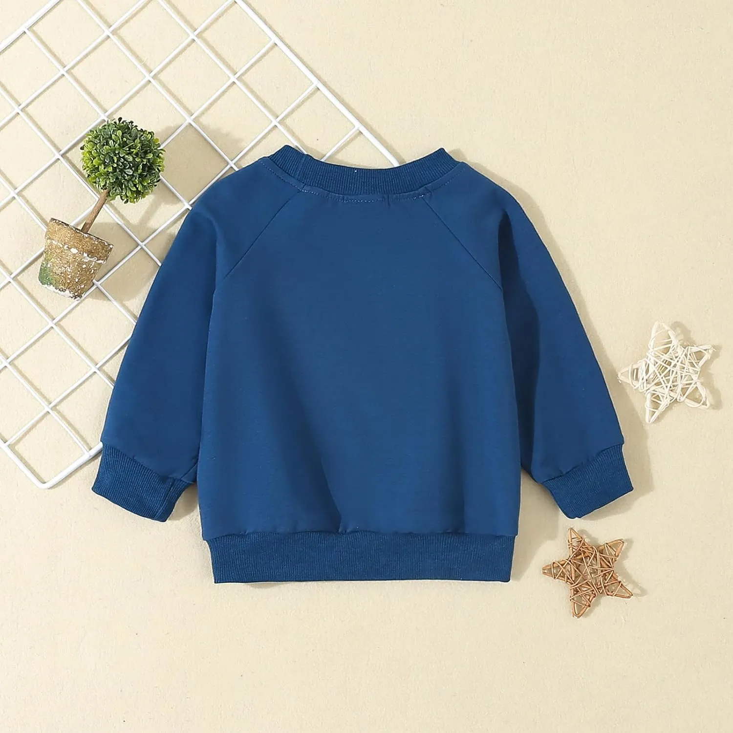 Sibling Matching Outfit Big Brother/Sister Little Brother/Sister Clothes Long Sleeve Letter Sweatshirt Top